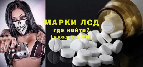 ПСИЛОЦИБИНОВЫЕ ГРИБЫ Арсеньев