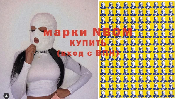 индика Армянск