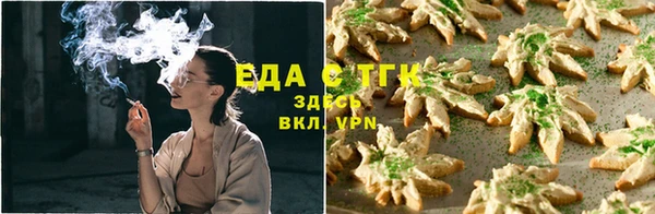 индика Армянск