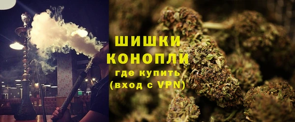 индика Армянск