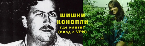 ПСИЛОЦИБИНОВЫЕ ГРИБЫ Арсеньев